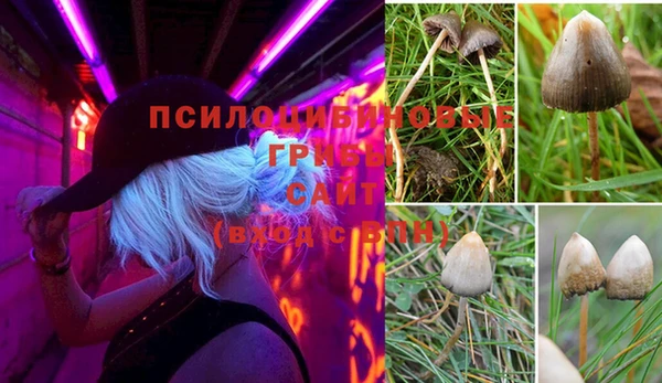 кокс Дмитриев