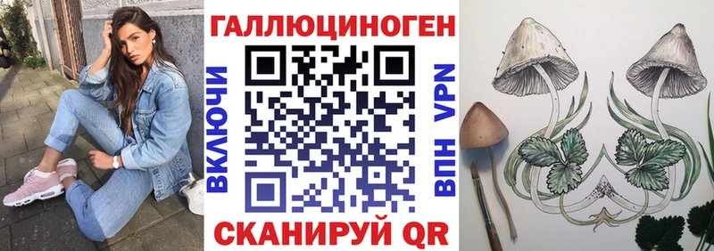 Псилоцибиновые грибы GOLDEN TEACHER Купить Старица